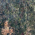 Le Casette Di Campagna