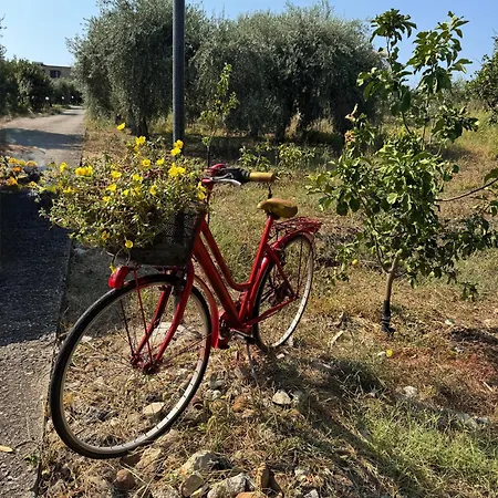 Le Casette Di Campagna Vila *